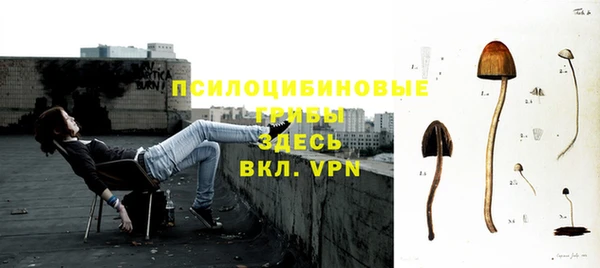 гидропоника Абаза